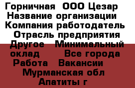 Горничная. ООО Цезар › Название организации ­ Компания-работодатель › Отрасль предприятия ­ Другое › Минимальный оклад ­ 1 - Все города Работа » Вакансии   . Мурманская обл.,Апатиты г.